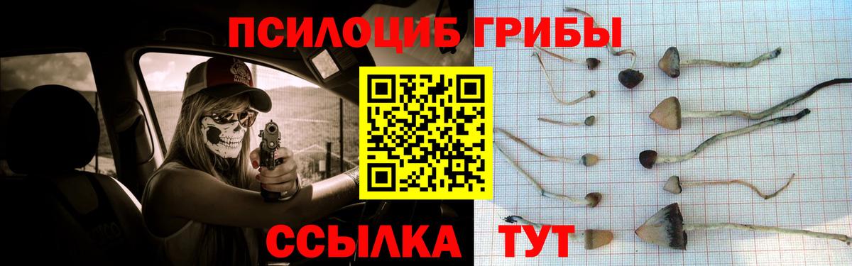 Галлюциногенные грибы мухоморы  Вход с VPN  Троицк 